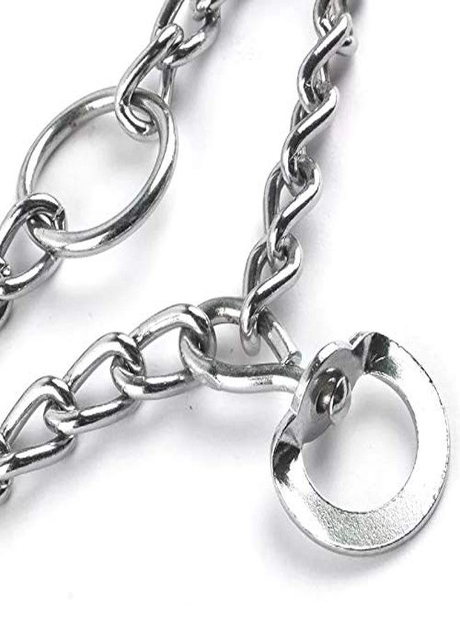 PETLICIOUS & MORE طوق شوكة من الفولاذ المقاوم للصدأ مطلي بالكروم من بيتليشوس آند مور للكلاب - 20 بوصة - Image 3